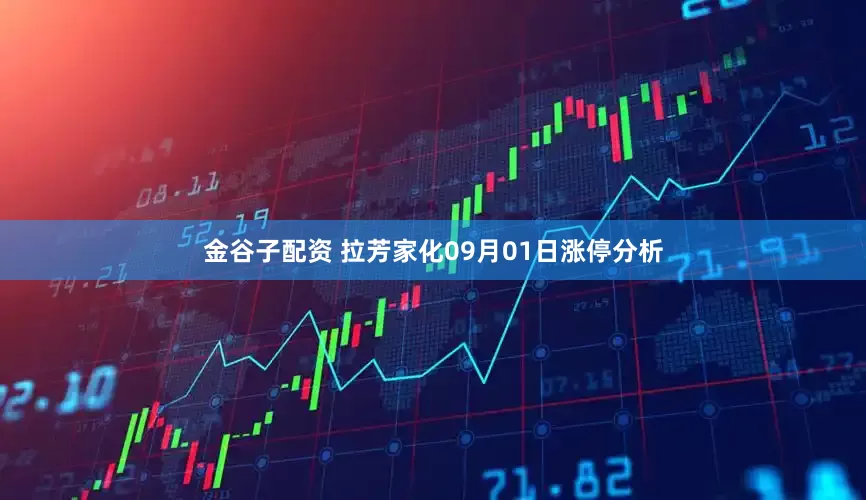 金谷子配资 拉芳家化09月01日涨停分析